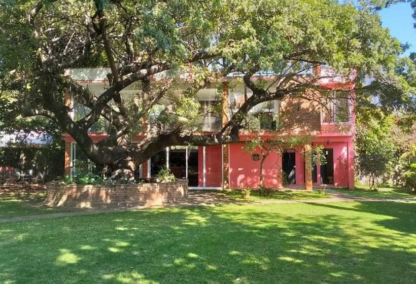 バルコニー付きスタンダードステューディオ, Casa Amor