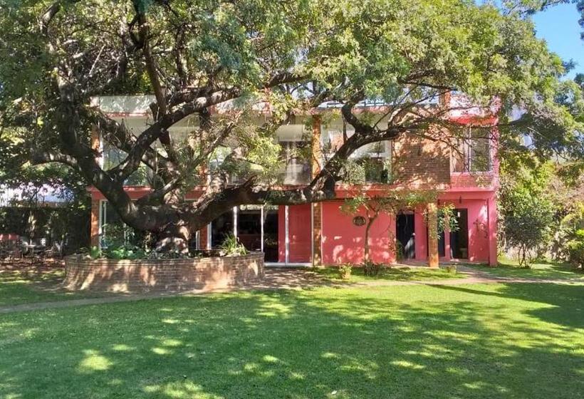 マウンテンビュースタンダードルーム, Casa Amor