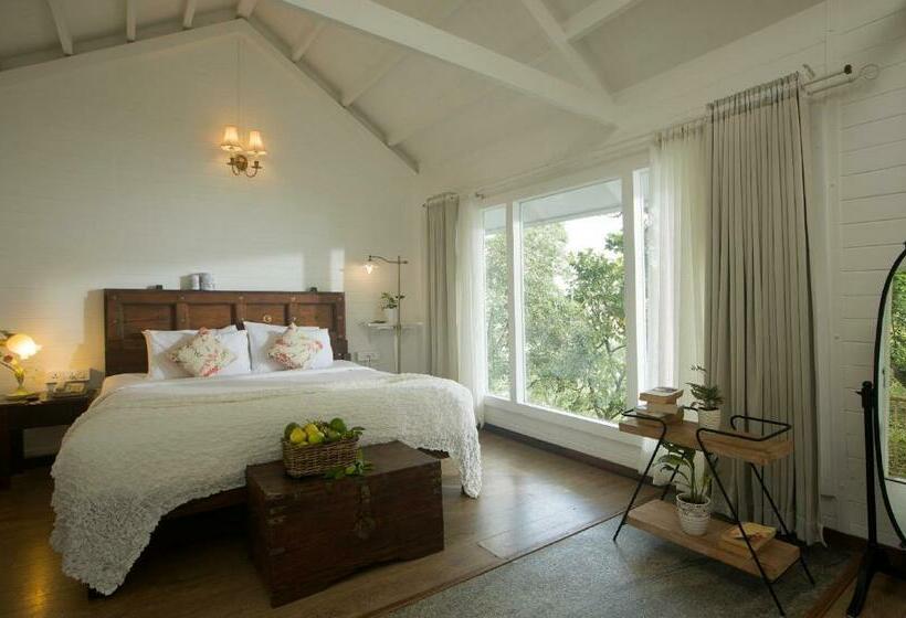 キャビン, Hills & Hues