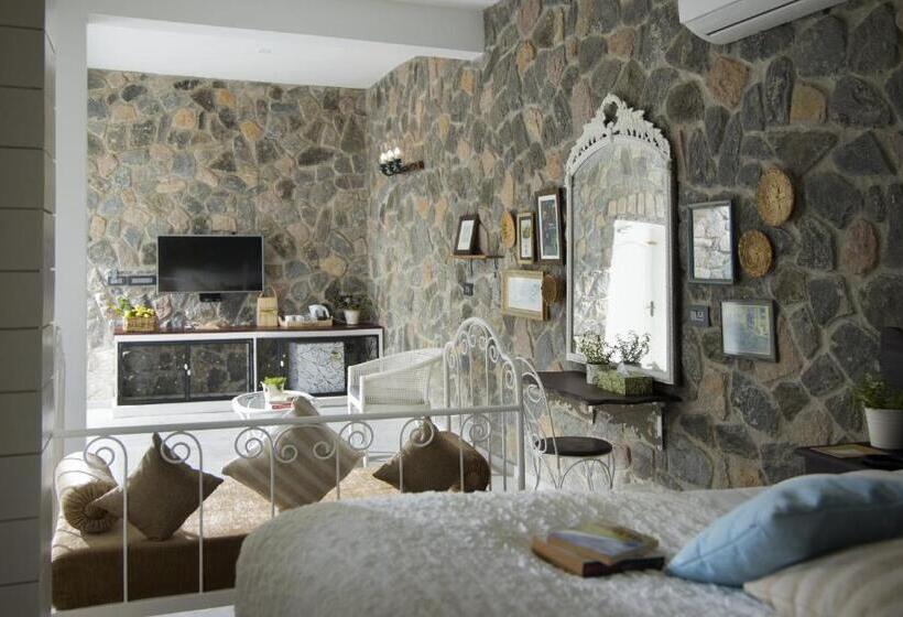 スタンダードルーム, Hills & Hues