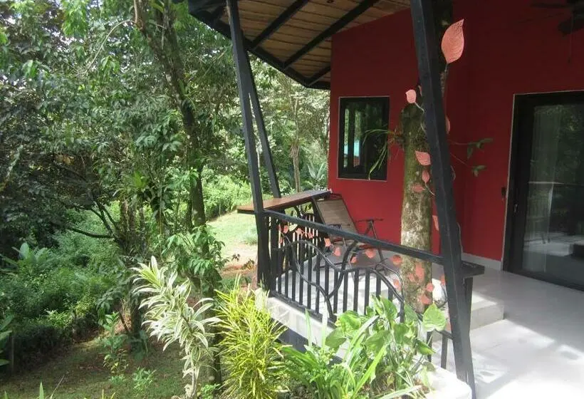 デラックスバンガロー, Oasis De Las Palmas