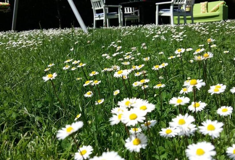 غرفة قياسية مطلّة علي الحديقة, La Casa Di Linda