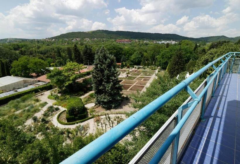 小型套房带海景, Iceberg