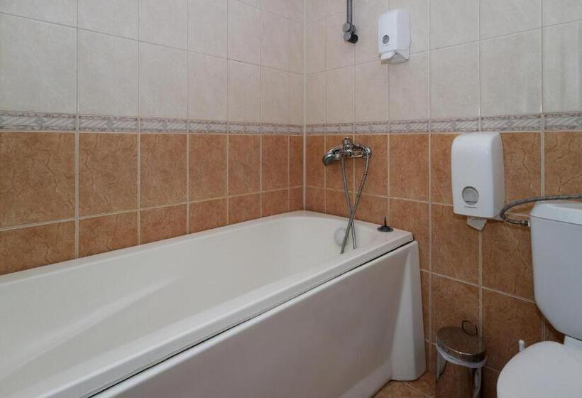 带花园景观的标准三人间, Iceberg