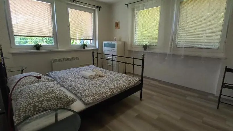 Perhestudio, Pod šaumburkem
