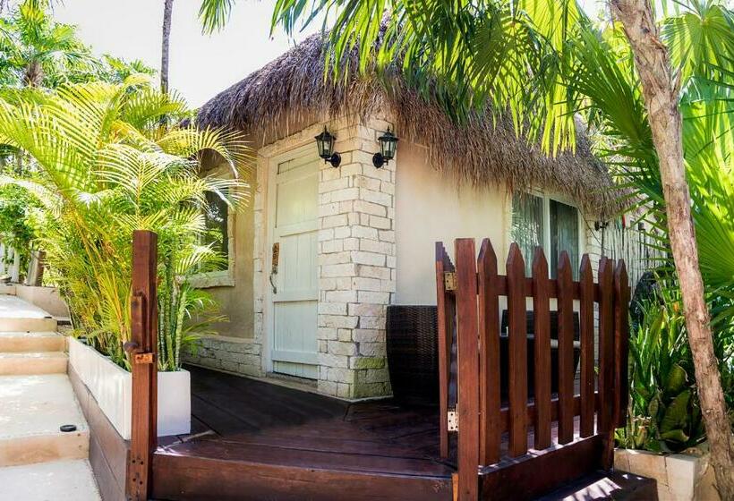庭の見えるジュニアスイート, Villa Las Estrellas Tulum  Located At The Party Zone