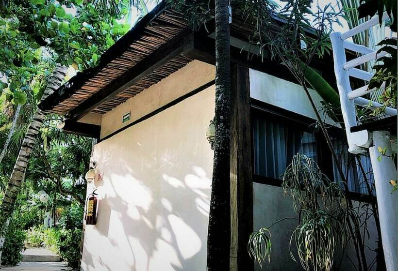 带园景的小型套房, Villa Las Estrellas Tulum Located At The Party Zone