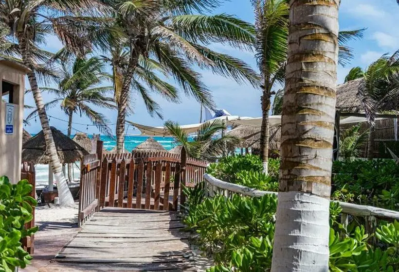 Sviitti Allasnäkymä, Villa Las Estrellas Tulum Located At The Party Zone