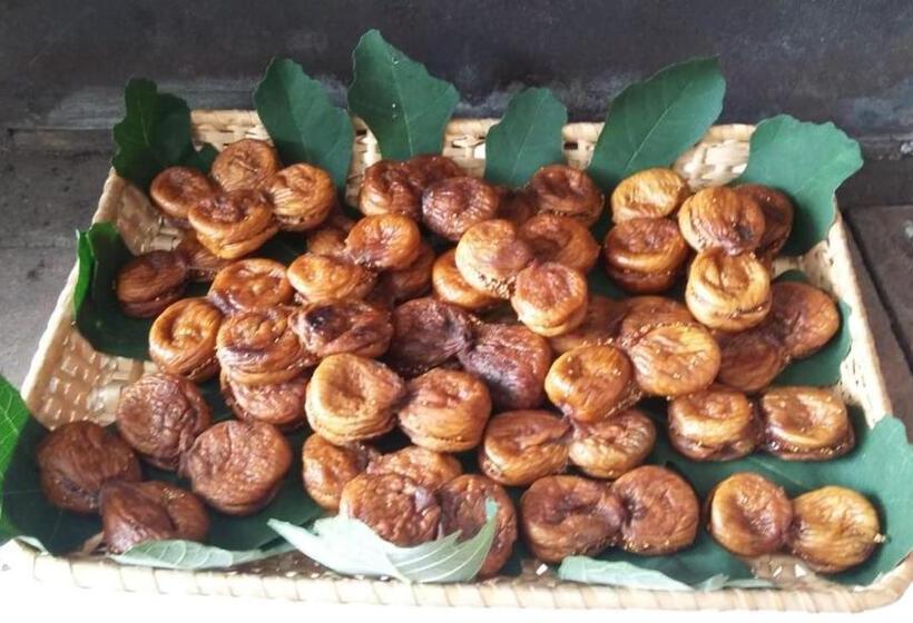 4인용 스탠다드 룸, Montagne Rocciose