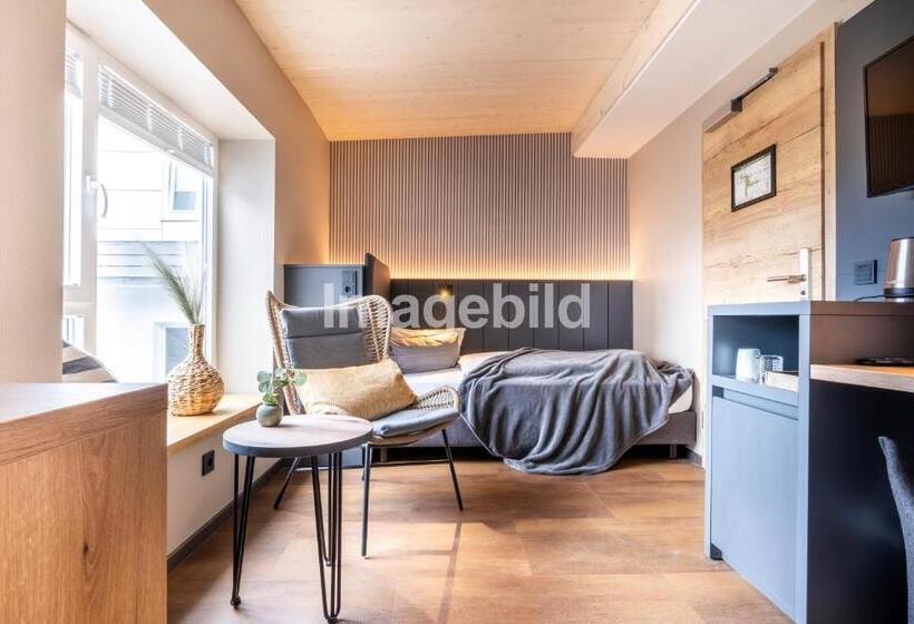 اتاق استاندارد یک نفره, Arthotel Bakker