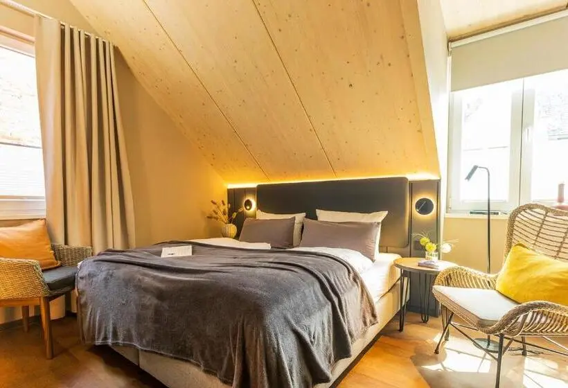 اتاق عادی, Arthotel Bakker