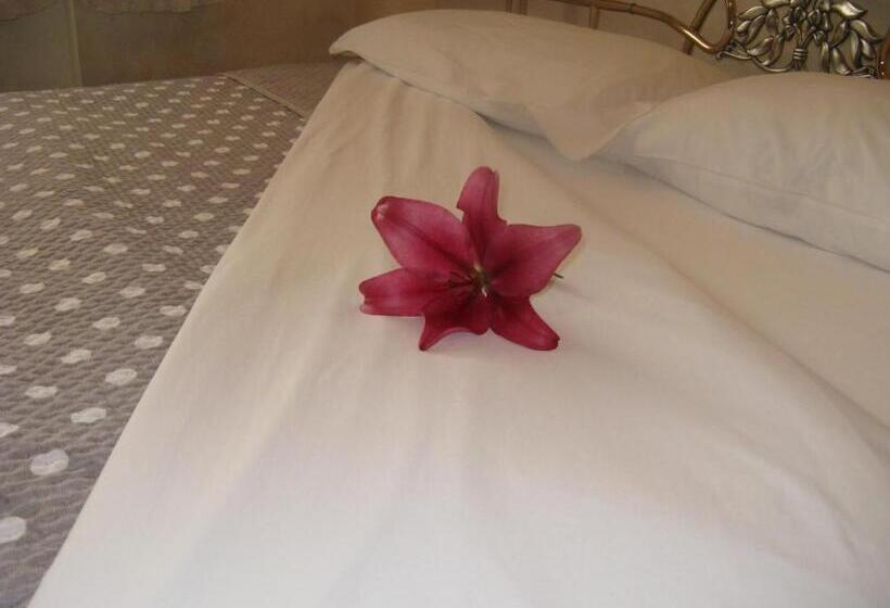 디럭스 룸, B&b Nelly