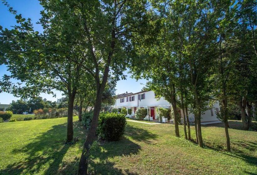 سوییت لوکس, Agromarino