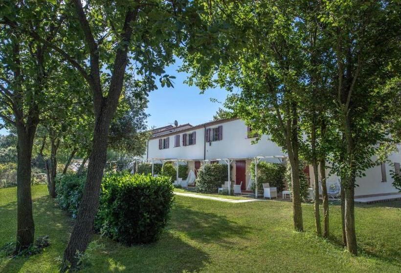 اتاق استاندارد پریمیوم سه تخته, Agromarino