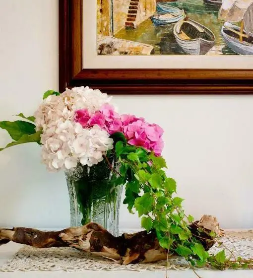 デラックスルーム, Al Giardino Degli Artisti