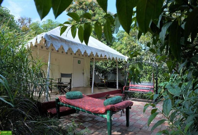 Standard Tent, Gir Pride Resort