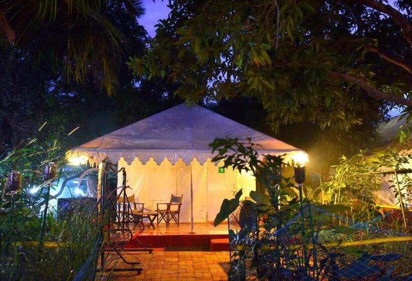 كوخ قياسي, Gir Pride Resort