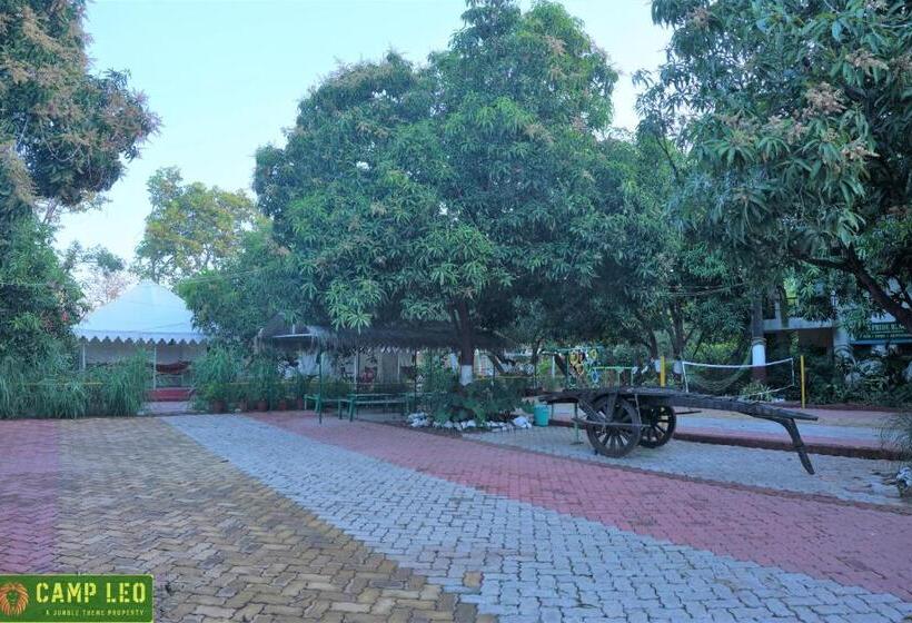 Standard Tent, Gir Pride Resort