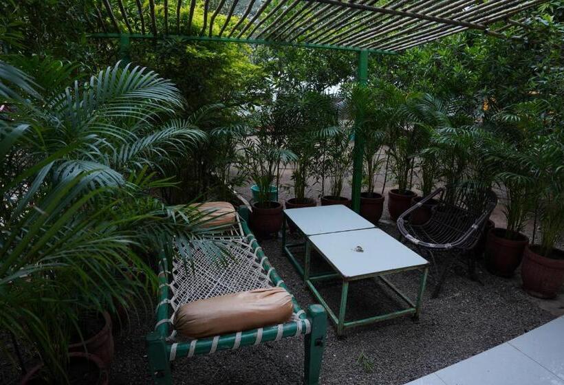 豪华房间, Gir Pride Resort