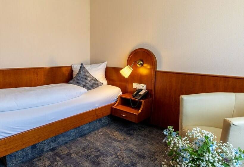 Номер Стандарт Индивидуальный, Park