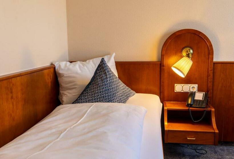 Номер Стандарт Индивидуальный, Park