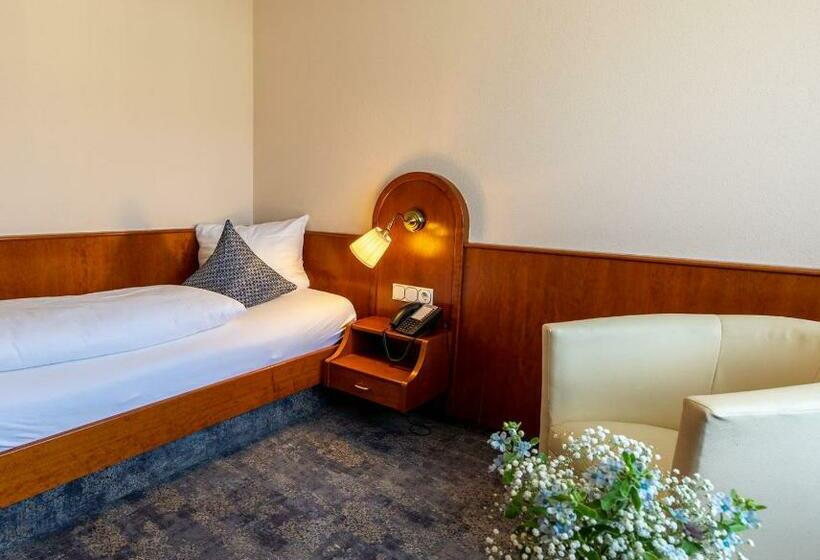 Номер Стандарт Индивидуальный, Park