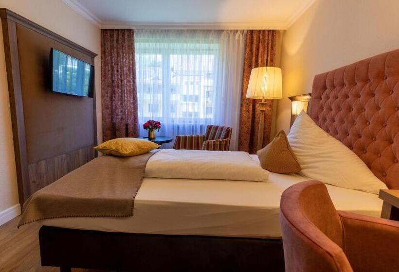 Номер Superior Одноместный, Park