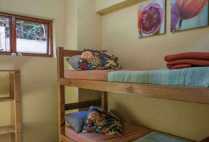 اتاق استاندارد با سرویس بهداشتی مشترک, African Ubuntu Backpackers