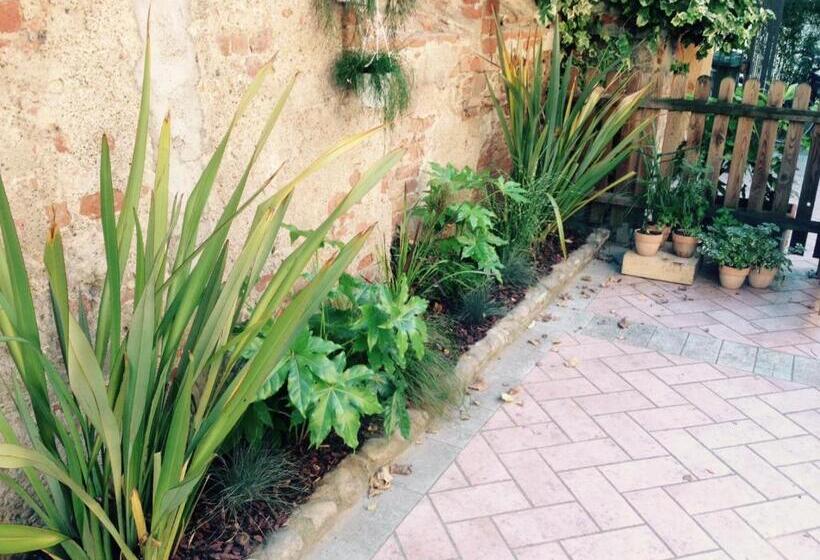 اتاق استاندارد با سرویس بهداشتی مشترک, Moodsiro Comi