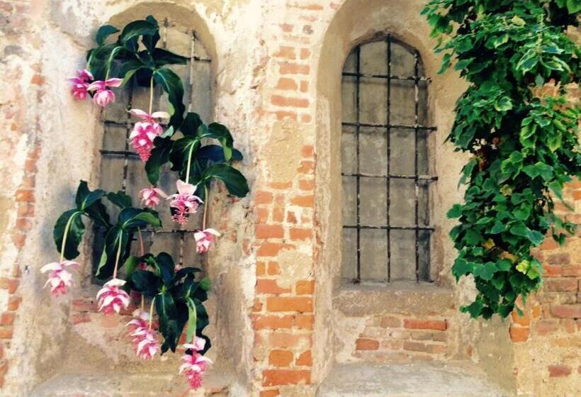 اتاق استاندارد با سرویس بهداشتی مشترک, Moodsiro Comi