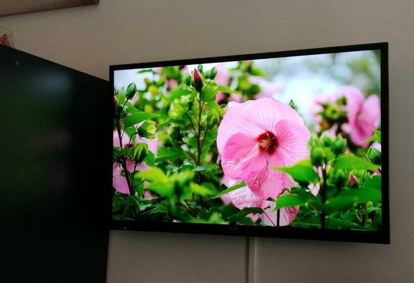 اتاق اکونومی با حمام مشترک, Miky M House B&b