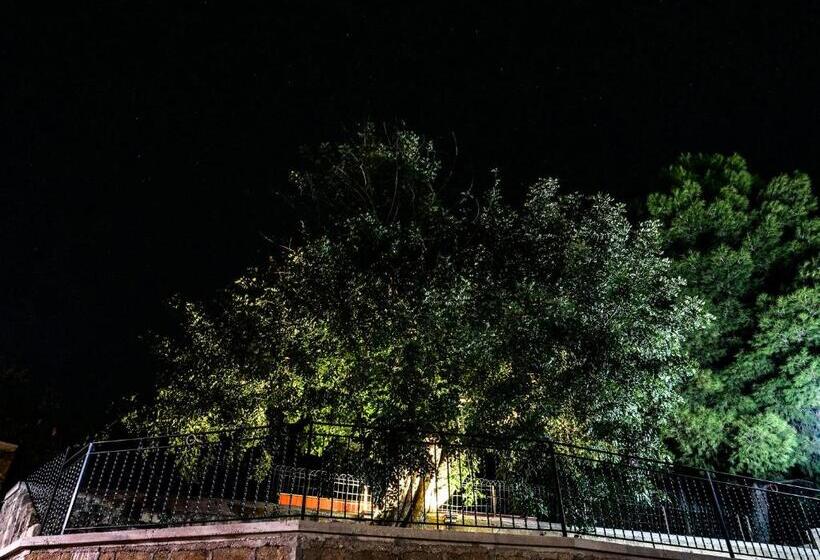 ビラホテル１ベッドルーム, B&b Vento Di Scirocco