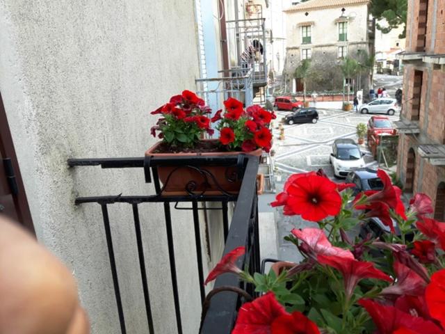 Студио Стандарт с Террасой, La Marinella