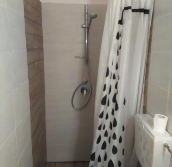 スタンダードルーム, Mirafiori