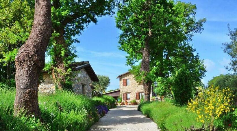 带共用浴室的标准房间, Casale Il Cerqueto