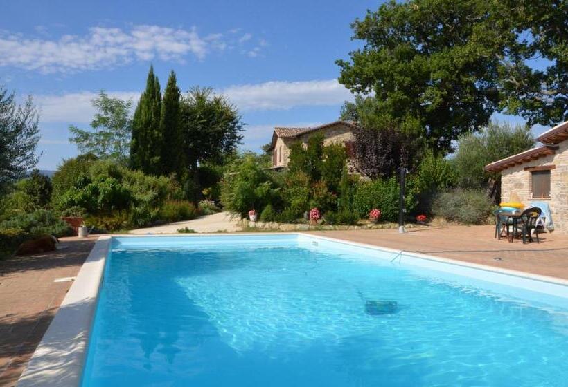 带共用浴室的标准房间, Casale Il Cerqueto