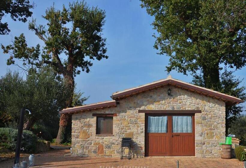 标准工作室带泳池景, Casale Il Cerqueto