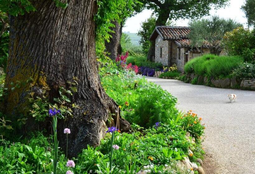 标准工作室带泳池景, Casale Il Cerqueto