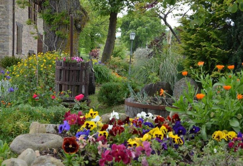 标准工作室带泳池景, Casale Il Cerqueto