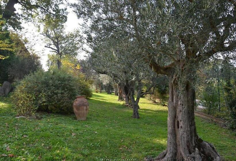 标准工作室带泳池景, Casale Il Cerqueto