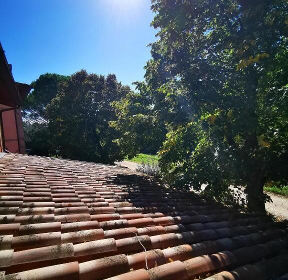 דירת חדר, La Casa Dei Tigli