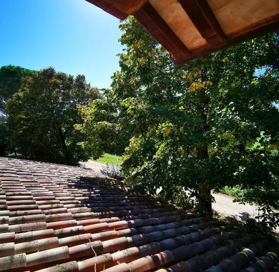 דירת חדר, La Casa Dei Tigli