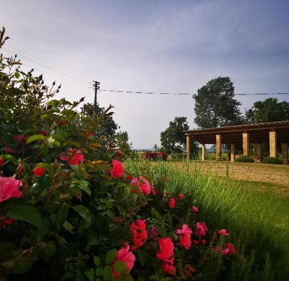 דירת חדר, La Casa Dei Tigli