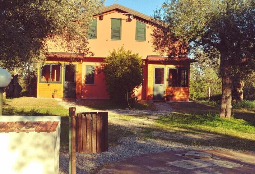 ガーデンビュースタンダードルーム, La Piana Degli Ulivi