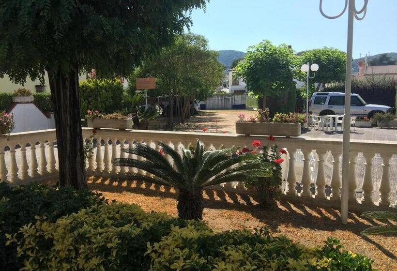 园景标准四人间, Vittoria