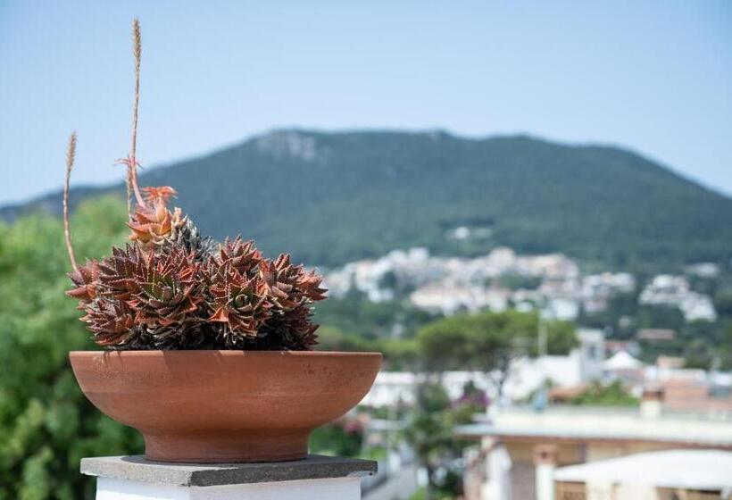 海景套房, Vittoria