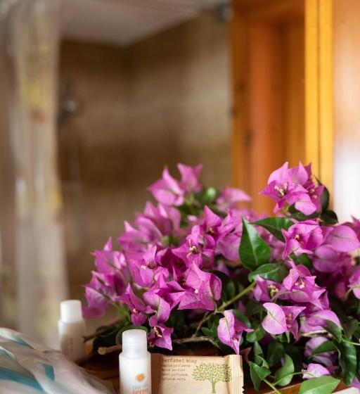 带露台的套间, Vittoria