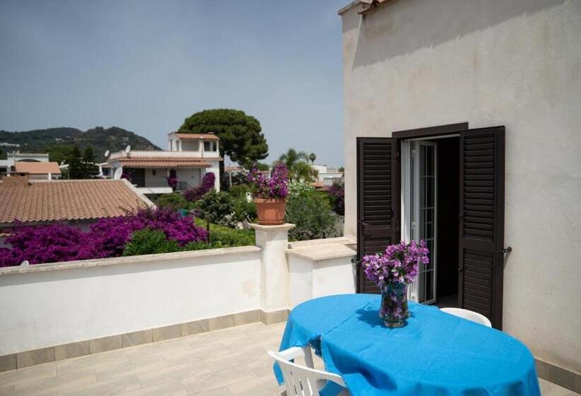 带大床的标准间, Vittoria