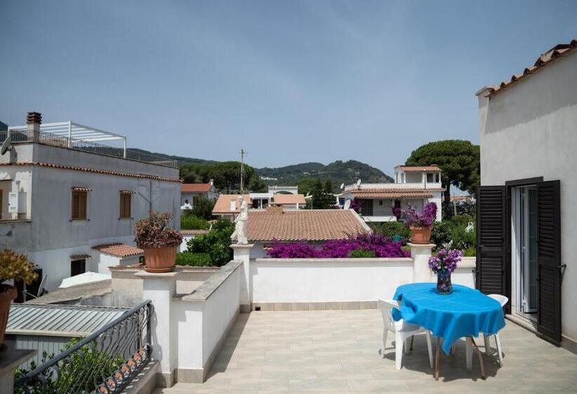 带大床的标准间, Vittoria