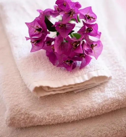 اتاق استاندارد یک نفره, Vittoria